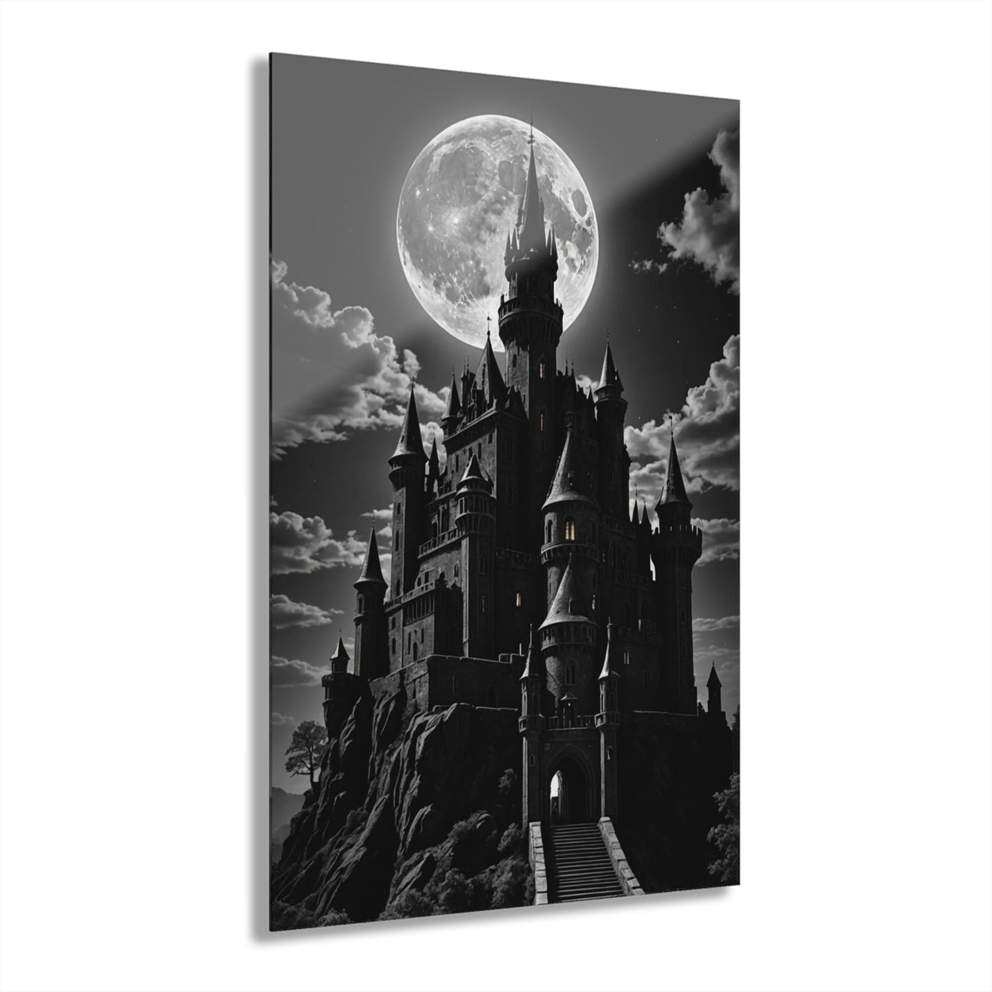 Acrylic Prints (French Cleat Hanging)